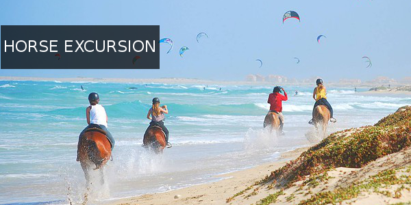 horseexcursionsal